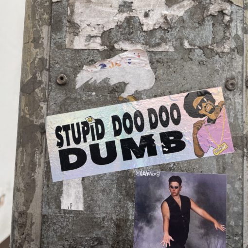 stupid doo doo dumb