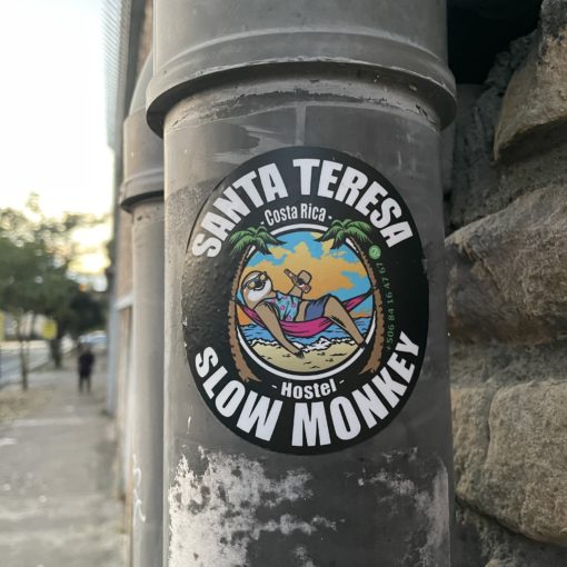 santa teresa slow monkey