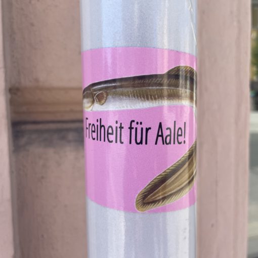 Freiheit für aale